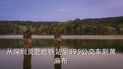 深圳395車站路線靈芝地鐵站，深圳世界之窗地鐵站哪個出口可以做去寶安的395公交