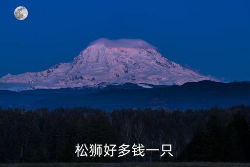 松獅好多錢一只