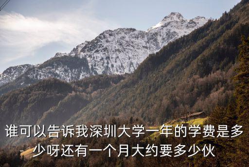 誰可以告訴我深圳大學(xué)一年的學(xué)費(fèi)是多少呀還有一個(gè)月大約要多少伙