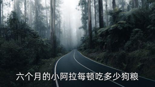 六個月的小阿拉每頓吃多少狗糧
