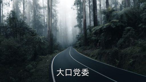 金興明上海市政協，大口黨委