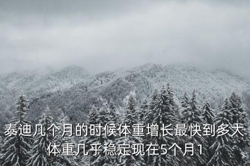 泰迪幾個(gè)月的時(shí)候體重增長(zhǎng)最快到多大體重幾乎穩(wěn)定現(xiàn)在5個(gè)月1