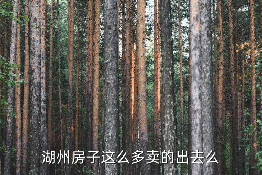 湖州房子這么多賣的出去么