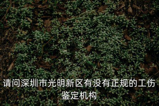深圳市光明區建筑工務署黎偉光，請問深圳市光明新區有沒有正規的工傷鑒定機構