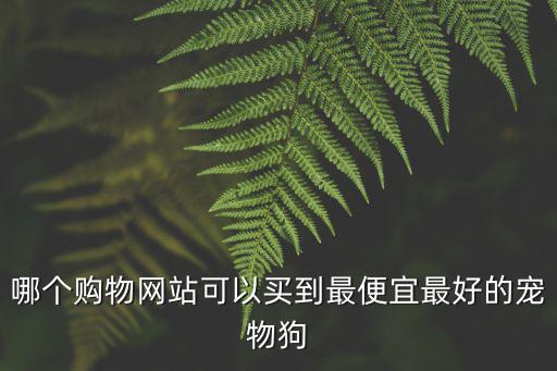 網上買狗哪個便宜多少錢，淘寶網上博美寵物狗怎么只要25到50元之間怎么這么便宜