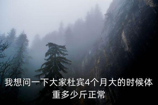 四個月杜賓喂多少，四個月的貴賓每天該吃多少
