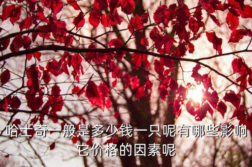 哈士奇一般是多少錢一只呢有哪些影響它價格的因素呢