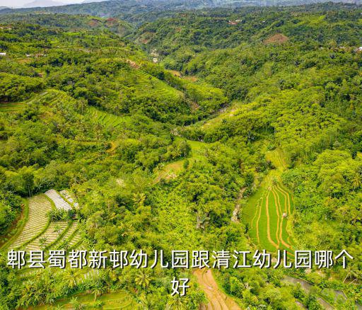 郫縣蜀都新邨幼兒園跟清江幼兒園哪個好