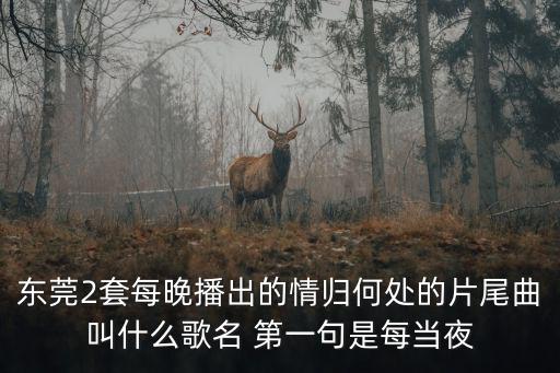 東莞2套每晚播出的情歸何處的片尾曲叫什么歌名 第一句是每當夜