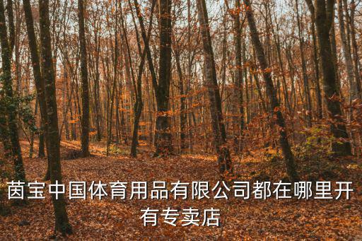 茵寶中國體育用品有限公司都在哪里開有專賣店