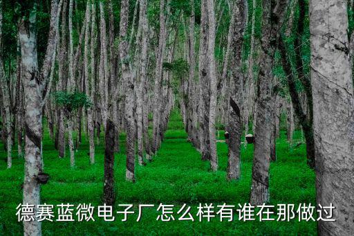 深圳市德賽微電子怎么樣，深圳德愛電子廠在哪里里面怎么樣