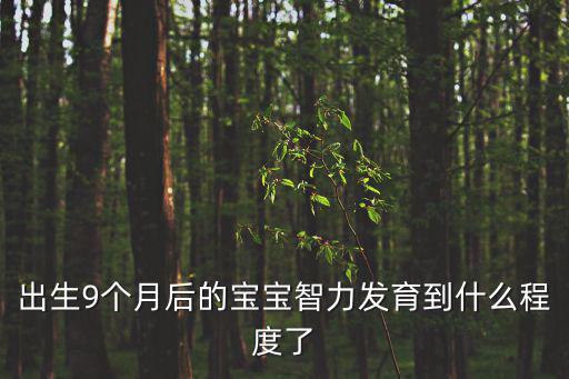 出生9個月后的寶寶智力發育到什么程度了