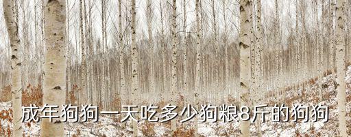 成年大丹犬一天吃多少，成年狗狗一天吃多少狗糧8斤的狗狗