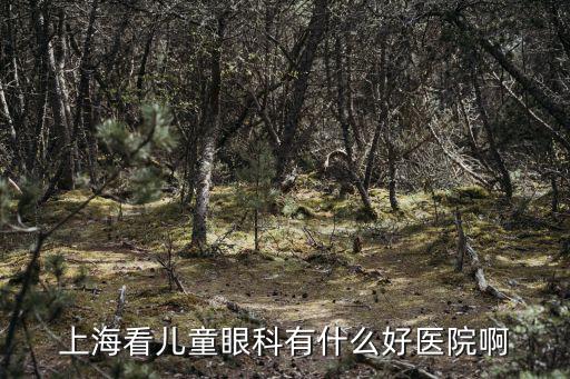 上海看兒童眼科有什么好醫院啊