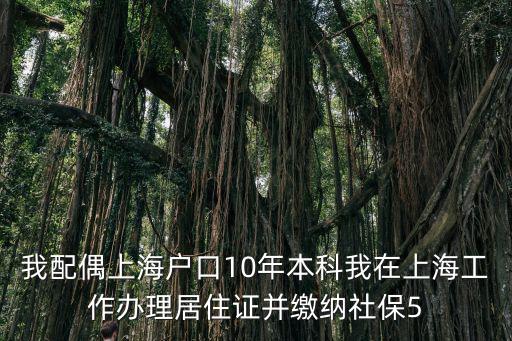 我配偶上海戶口10年本科我在上海工作辦理居住證并繳納社保5