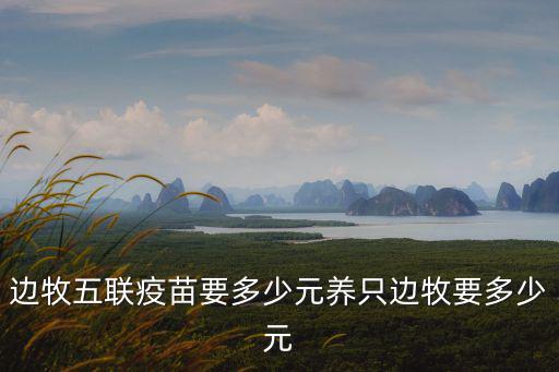 邊牧五聯疫苗要多少元養只邊牧要多少元