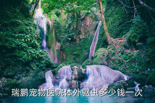 狗狗做次外驅多少錢，瑞鵬寵物醫院體外驅蟲多少錢一次