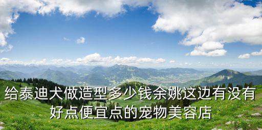 給泰迪犬做造型多少錢余姚這邊有沒有好點便宜點的寵物美容店