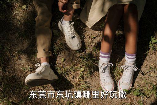 東莞東坑鎮(zhèn)是在哪里，東坑是哪個(gè)地區(qū) 萬(wàn)江東城還是南城