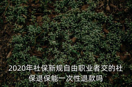 2020年社保新規自由職業者交的社保退保能一次性退款嗎