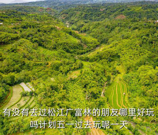 有沒有去過松江廣富林的朋友哪里好玩嗎計劃五一過去玩呢一天