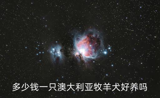 在澳洲買狗多少錢，在澳洲買一只還是小寶寶的純血薩摩要多少錢