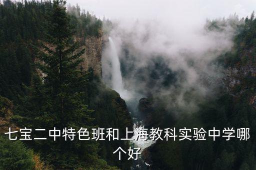 上海市閔行七寶二中，七寶二中特色班和上海教科實(shí)驗(yàn)中學(xué)哪個(gè)好