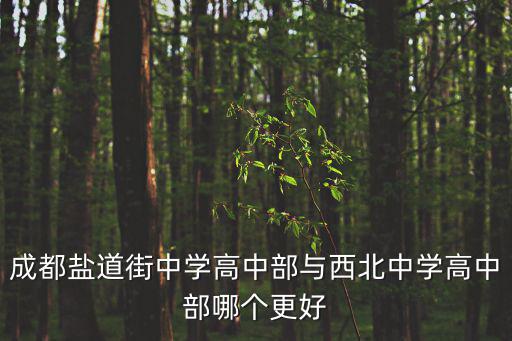 成都鹽道街中學高中部與西北中學高中部哪個更好