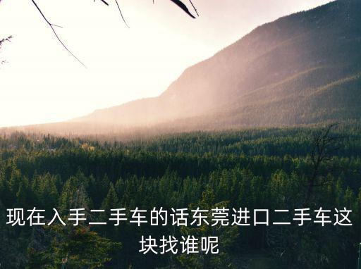 現在入手二手車的話東莞進口二手車這塊找誰呢