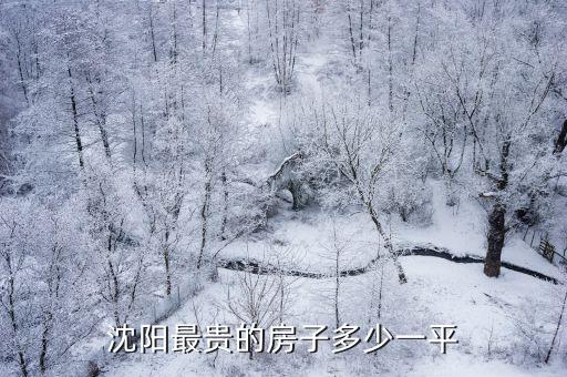 希望未來城房價如何，金堂希望未來城是希望地產開發的嗎