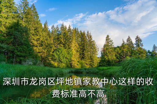 深圳市龍崗區(qū)坪地鎮(zhèn)家教中心這樣的收費標準高不高