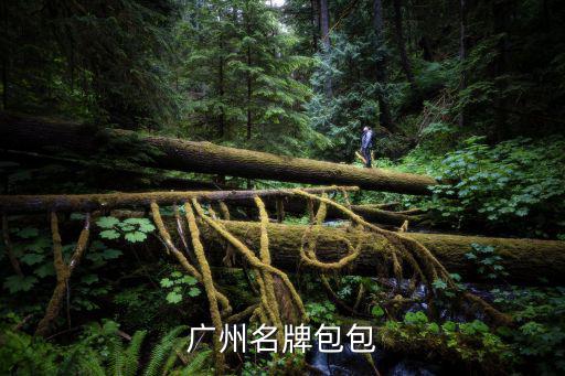 廣州名牌包包
