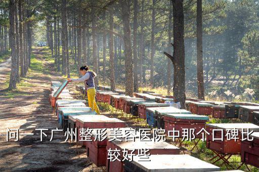 問一下廣州整形美容醫(yī)院中那個(gè)口碑比較好些