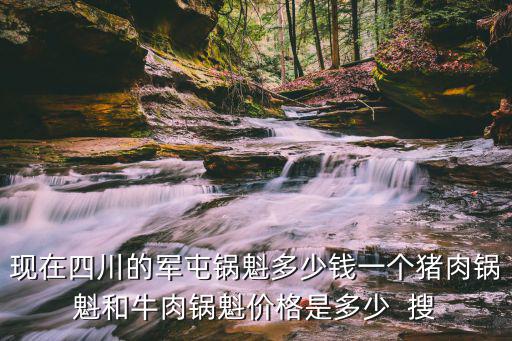 現在四川的軍屯鍋魁多少錢一個豬肉鍋魁和牛肉鍋魁價格是多少  搜