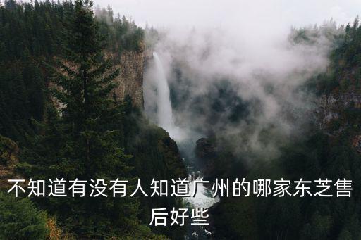 不知道有沒有人知道廣州的哪家東芝售后好些