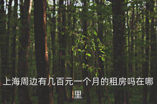 上海周邊有幾百元一個月的租房嗎在哪里