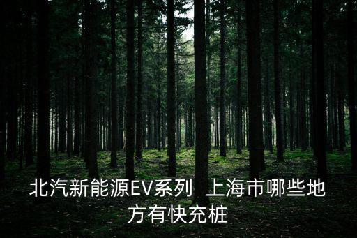 北汽新能源EV系列  上海市哪些地方有快充樁