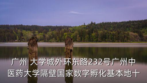 廣州 大學城外環(huán)東路232號廣州中醫(yī)藥大學隔壁國家數(shù)字孵化基本地十