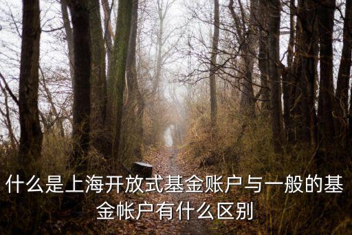 什么是上海開放式基金賬戶與一般的基金帳戶有什么區別