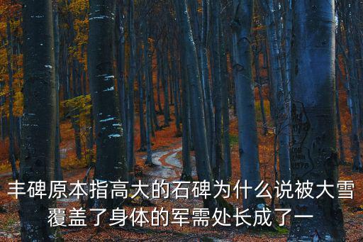 豐碑原本指高大的石碑為什么說被大雪覆蓋了身體的軍需處長成了一