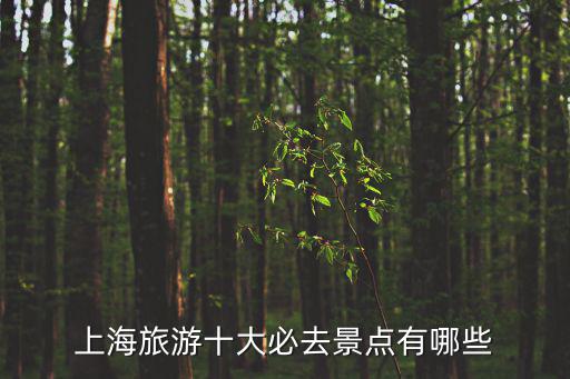 上海旅游十大必去景點有哪些