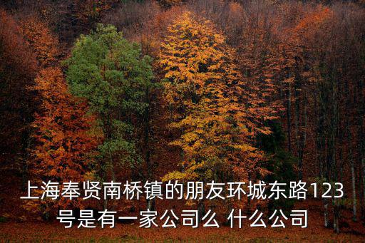 上海奉賢南橋鎮的朋友環城東路123號是有一家公司么 什么公司