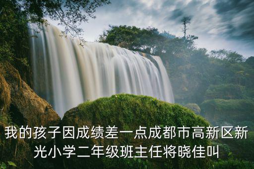 我的孩子因成績差一點成都市高新區(qū)新光小學二年級班主任將曉佳叫