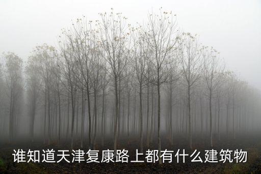 天津市復康路中勖耪，誰知道天津復康路上都有什么建筑物