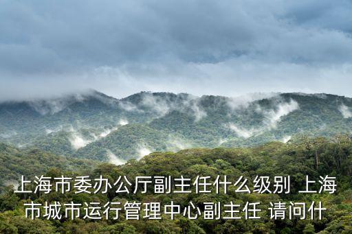 上海市委辦公廳副主任什么級(jí)別 上海市城市運(yùn)行管理中心副主任 請(qǐng)問什