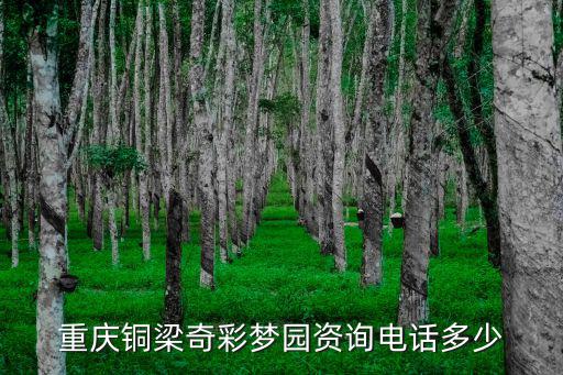 重慶銅梁奇彩夢(mèng)園資詢電話多少