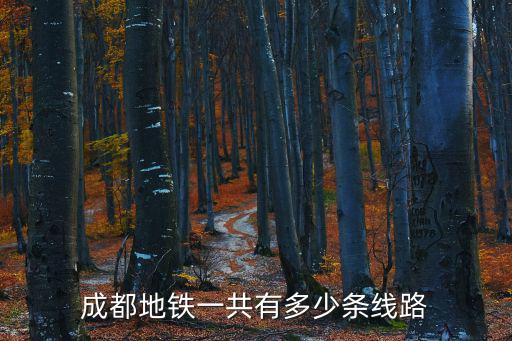 成都地鐵一共有多少條線路
