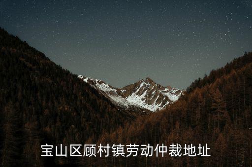 寶山區(qū)顧村鎮(zhèn)勞動(dòng)仲裁地址