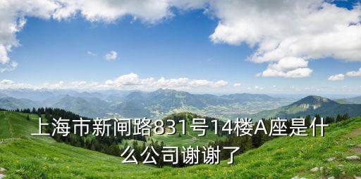上海市新閘路831號14樓A座是什么公司謝謝了