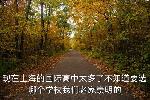 上海國(guó)際學(xué)校高中排名，現(xiàn)在上海的國(guó)際高中太多了不知道要選哪個(gè)學(xué)校我們老家崇明的